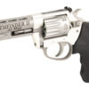 CHARTER ARMS PTHFNDR II 22WMR 8RD SS