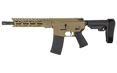 DBF DB15 556 10" MLOK 30RD FDE BRACE
