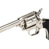 HERITAGE 22LR ONLY 4.75" NICKEL STAR