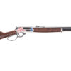 HENRY H10 AMERICA 250 45-70 22" 4RD