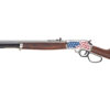 HENRY H10 AMERICA 250 45-70 22" 4RD